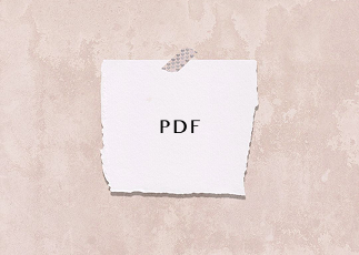 Commercial Invoice 10