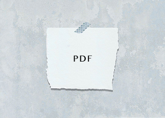 Commercial Invoice 11