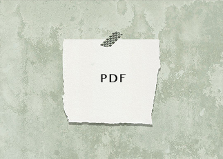 Commercial Invoice1